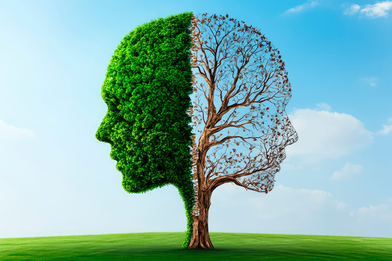 Leistungen Coaching und Supervision